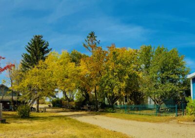 Town of Mossbank Museum